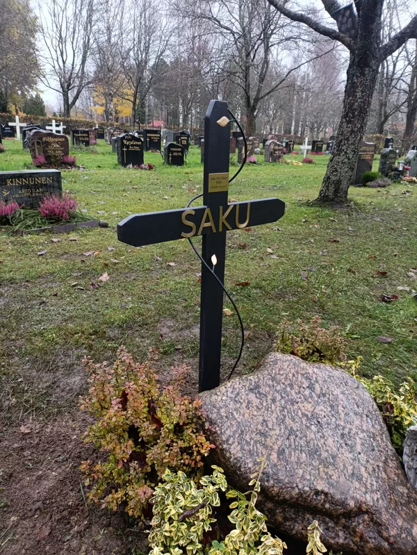 Hauta risti, kultaiset teräksiset lehdet 